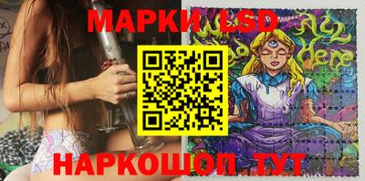 крисы Краснодар
