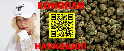 крисы Краснодар