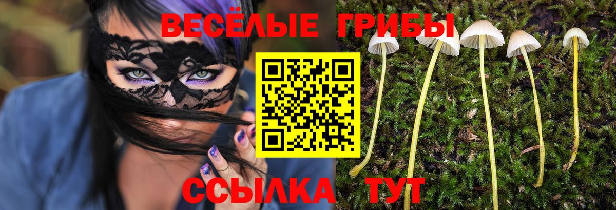 Псилоцибиновые грибы Psilocybe Ирбит